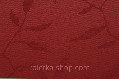 Барбарис бордо В-461