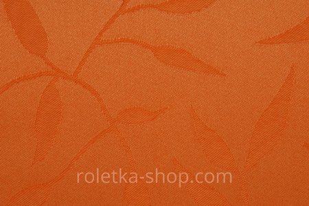 Барбарис оранж В-454